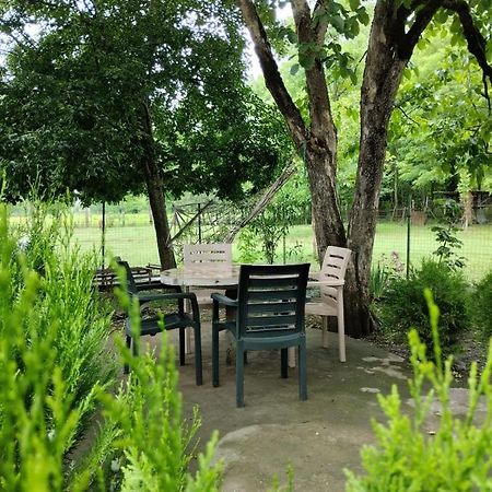 Martvili Guesthouse المظهر الخارجي الصورة