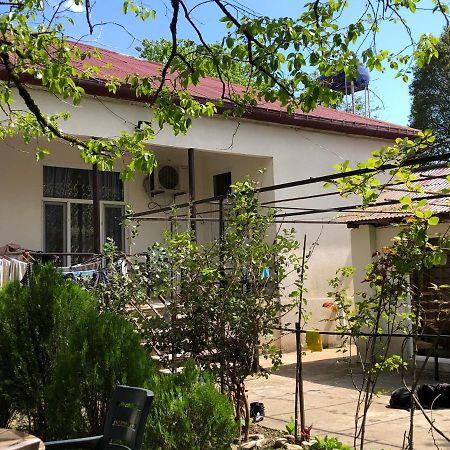 Martvili Guesthouse المظهر الخارجي الصورة