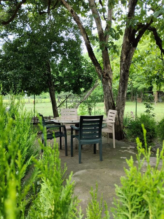 Martvili Guesthouse المظهر الخارجي الصورة