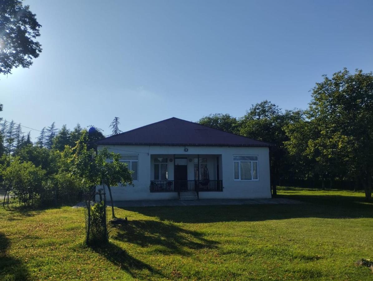 Martvili Guesthouse المظهر الخارجي الصورة